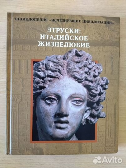 Книга Викинги:набеги с севера