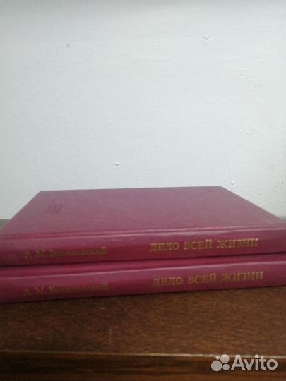 А. Василевский. Дело всей жизни