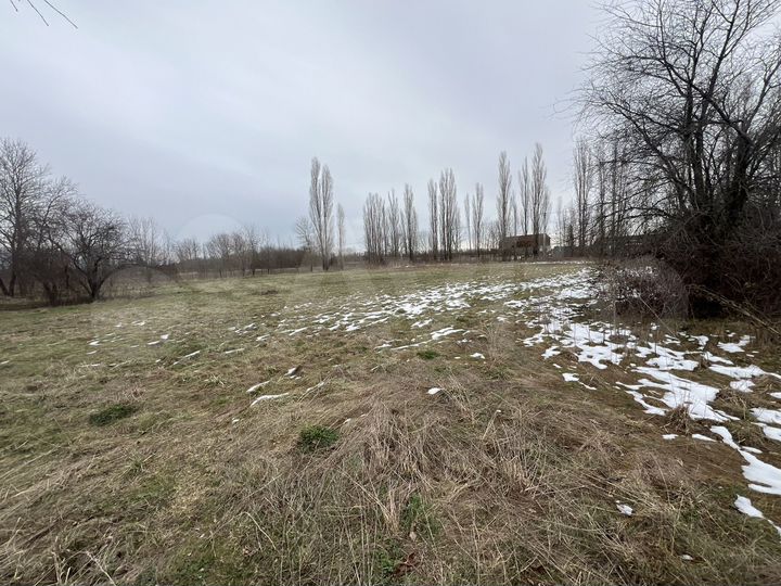 Участок 87 сот. (СНТ, ДНП)