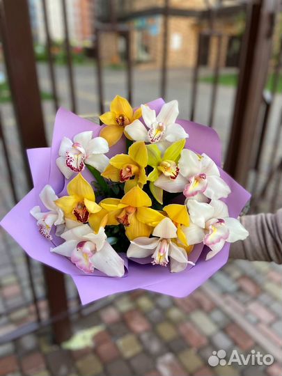 Орхидея. Цветы. Доставка