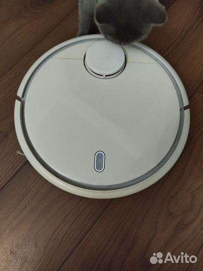 Робот пылесос