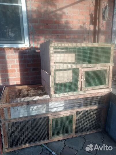 Клетка- брудер