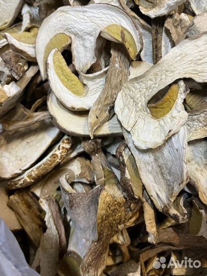 Грибы сушеные / оптом