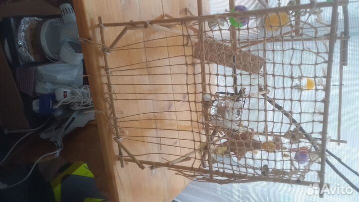 Продам игровой стенд для попугаев