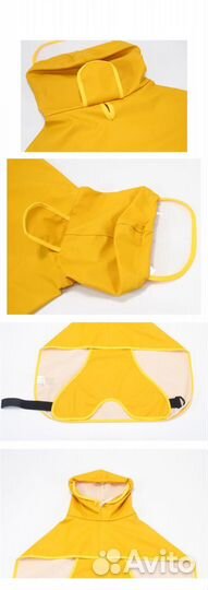 Одежда, обувь для животных