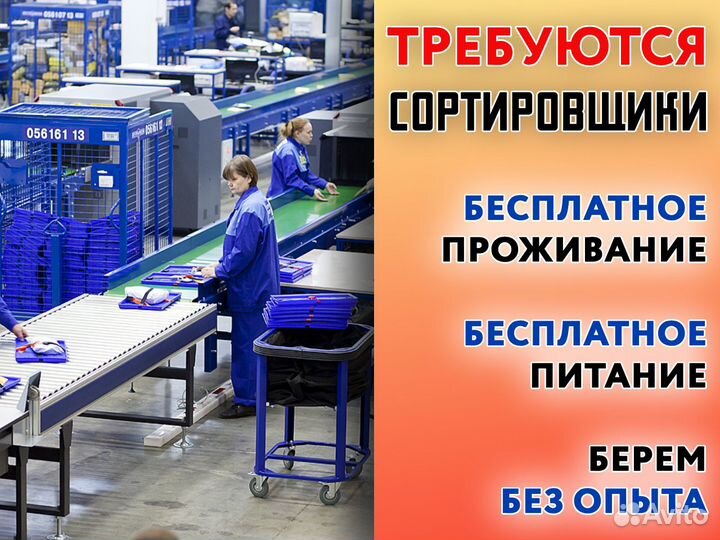 Сортировщик в крупную компанию