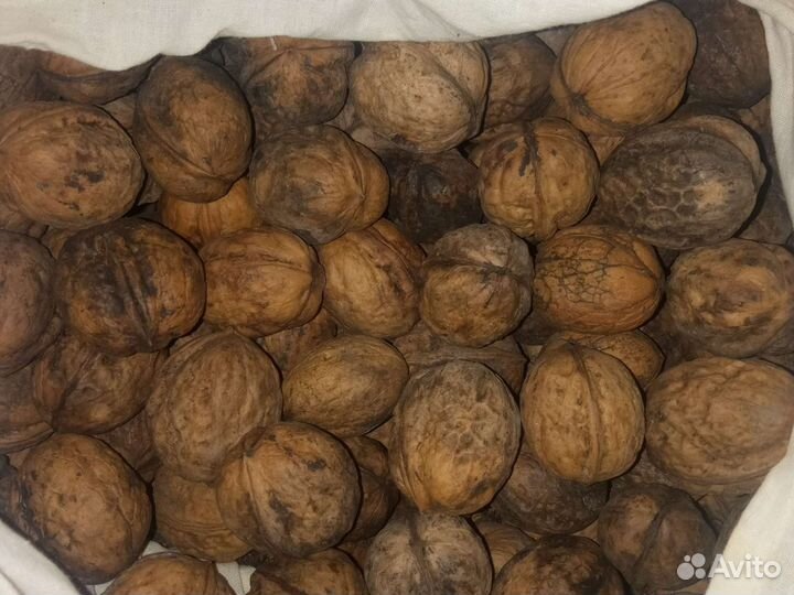 Слива 70 р, Яблоки дачные 40, мята