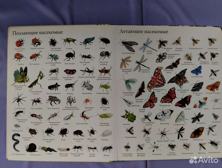 1000 животных мира. Найди и покажи. 2 книги