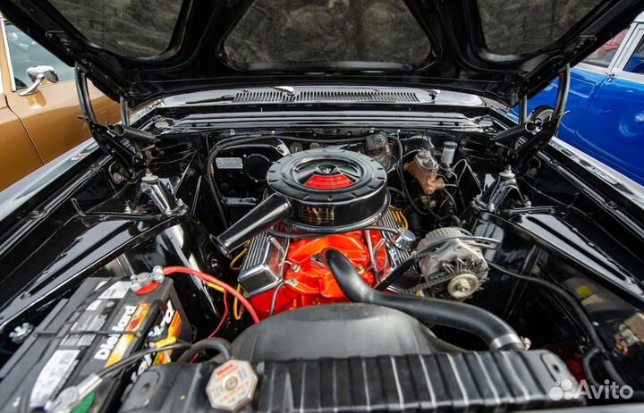 Автоэлектрик с выездом с 11 до 55498