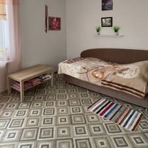 1-к. квартира, 30 м², 2 кровати, Ивангород