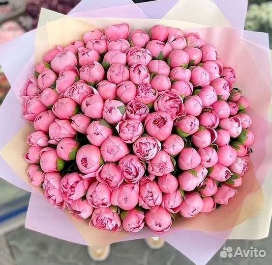 Пионы Цветы Доставка