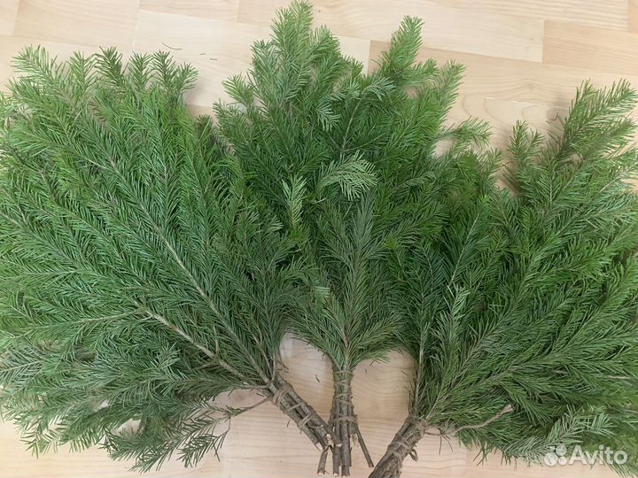 Пихтовые веники
