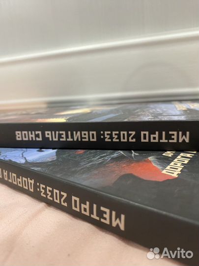 Книга метро 2033