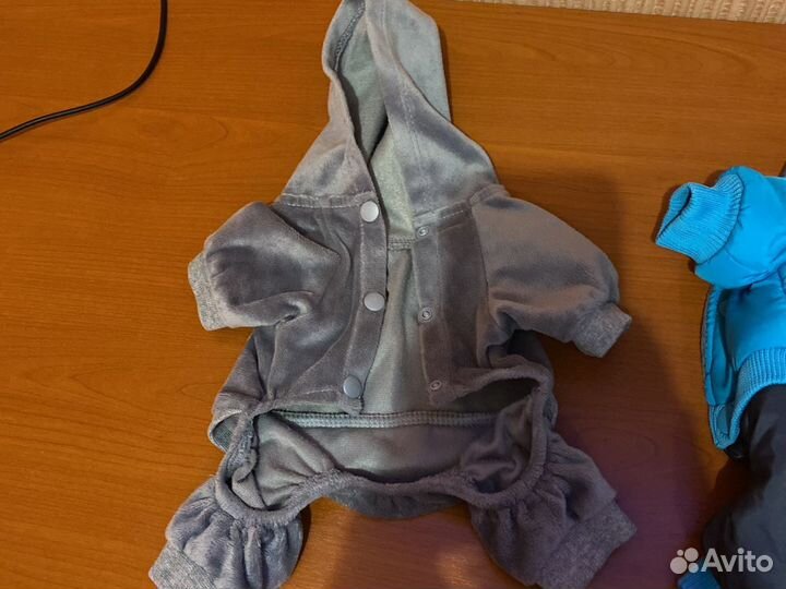 Вещи для маленькой собачки