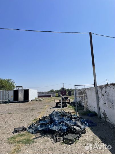 Малиновый сад