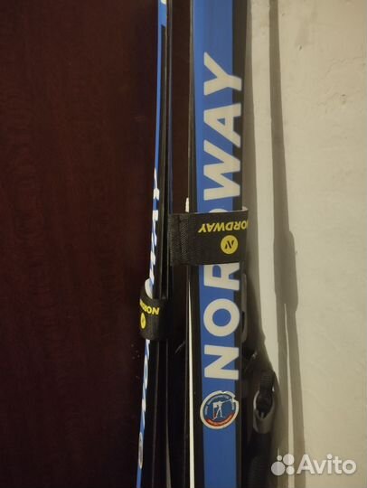 Беговые лыжи