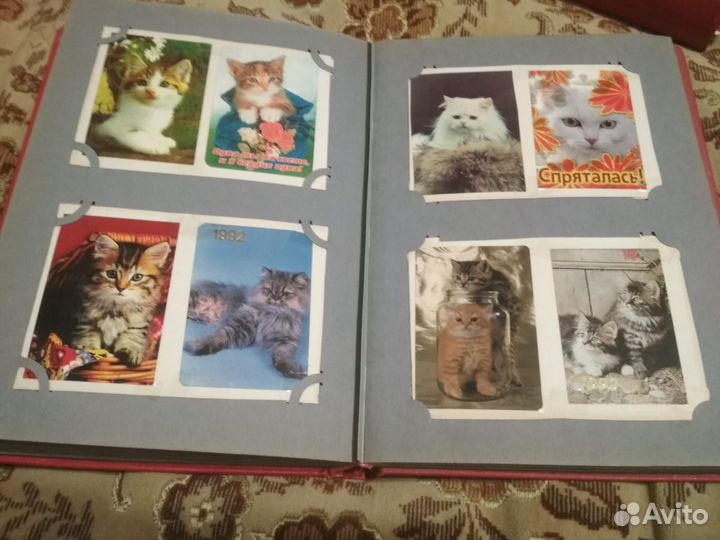 Открытки кошки и собаки