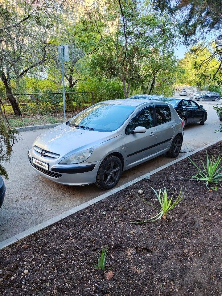 Peugeot 307: фото владельца