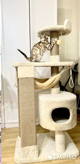 Изготовление когтеточек и домиков для животных