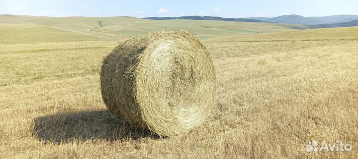 Сено в тюках
