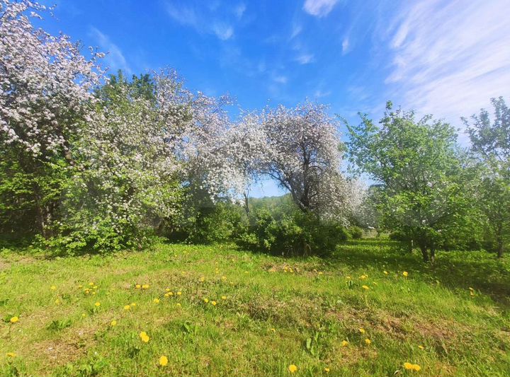 Дом 31 м² на участке 15 сот.