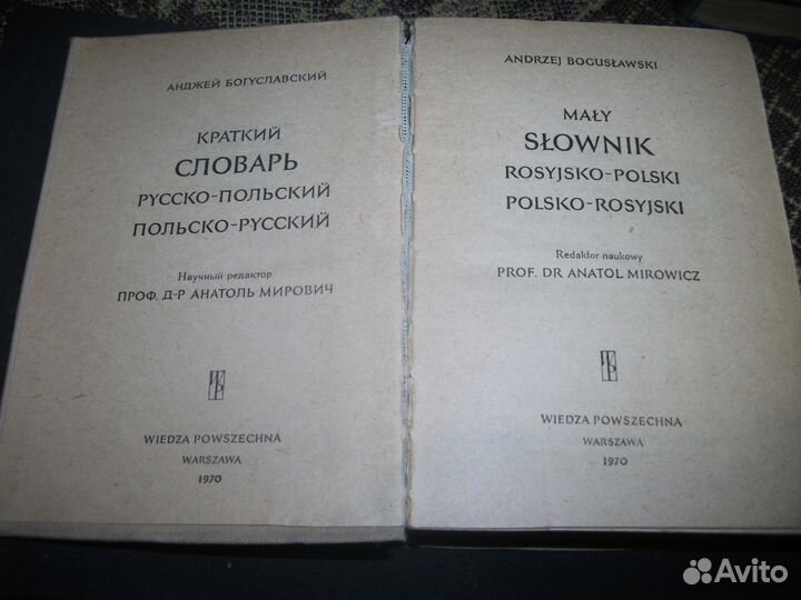 Польский словарь