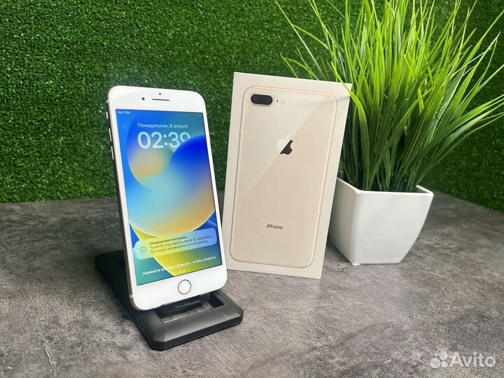 iPhone 8 Plus, 64 ГБ