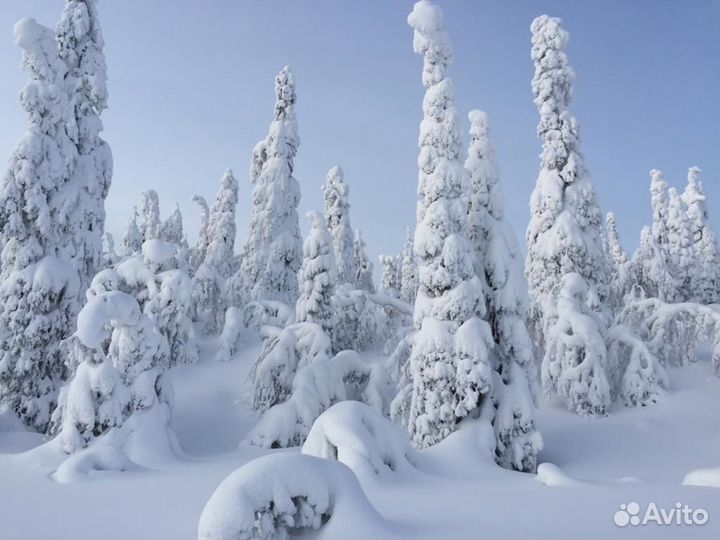 Тур зимой в Карелии