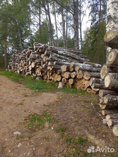 Дрова березовые не колотые продам