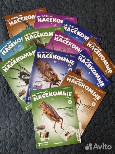 Журнал Насекомые