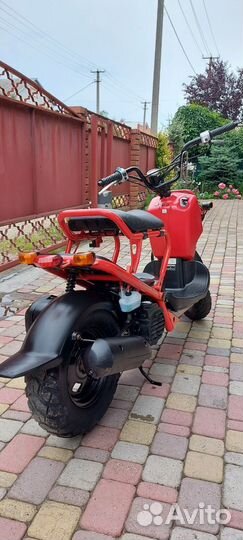 Honda Zoomer 50 из Японии без пробега по Р. Ф