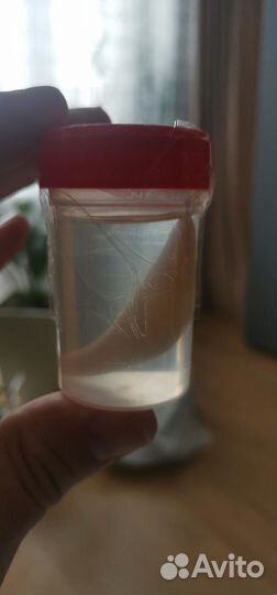 Клык волчий