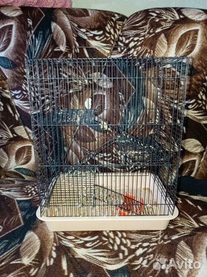 Переноска и клетки