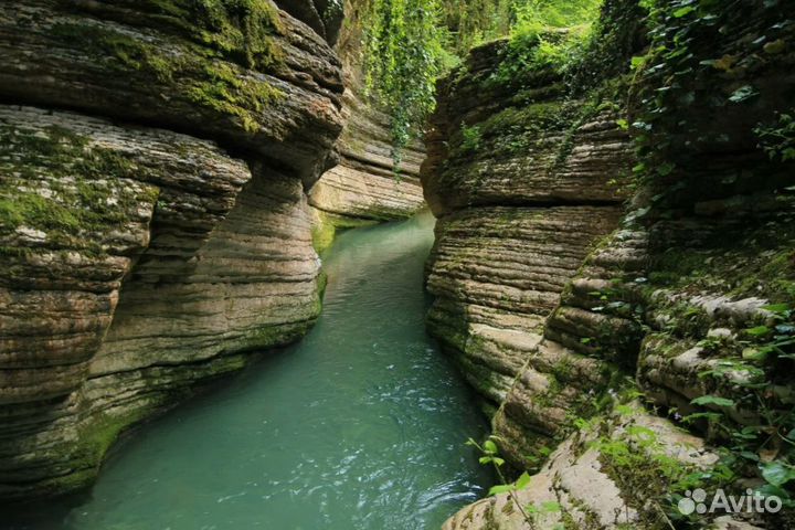 Тур поездка Абхазия 5 дн. завтраки