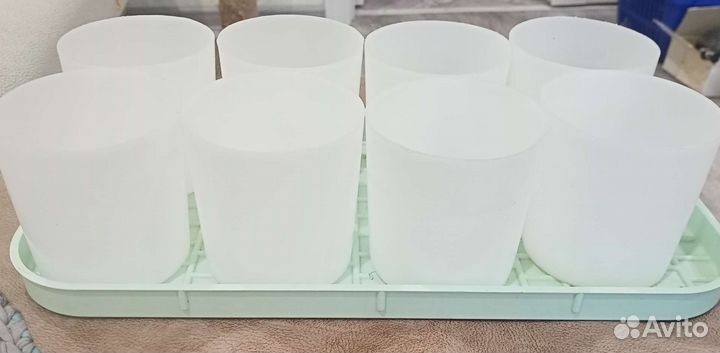 Стаканчики для рассады