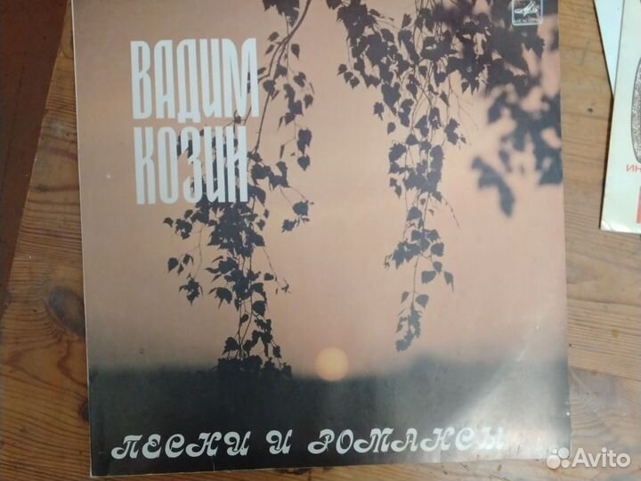 Виниловые пластинки песни советских исполнителей