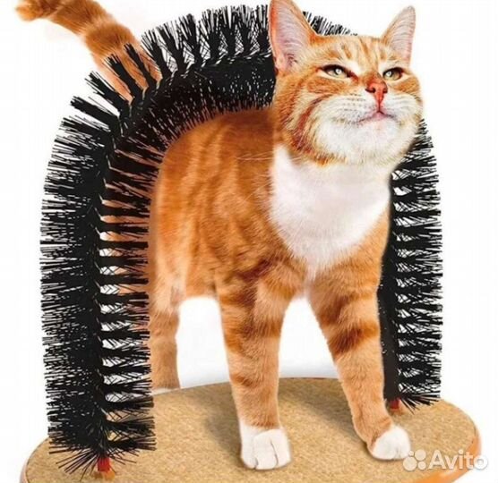 Когтеточка