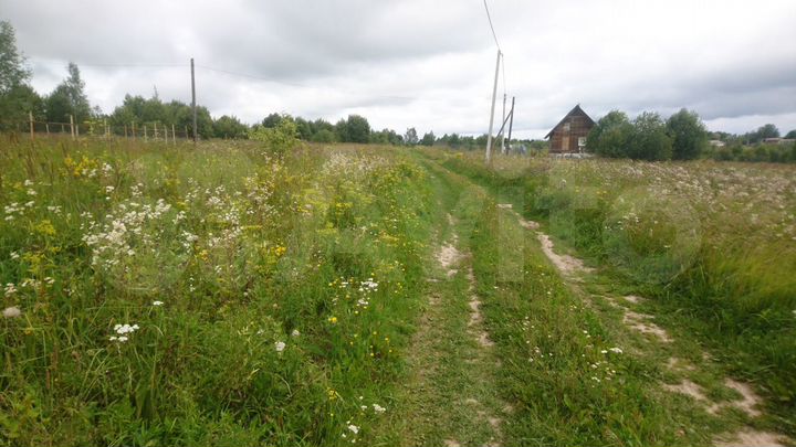 Участок 50 сот. (СНТ, ДНП)