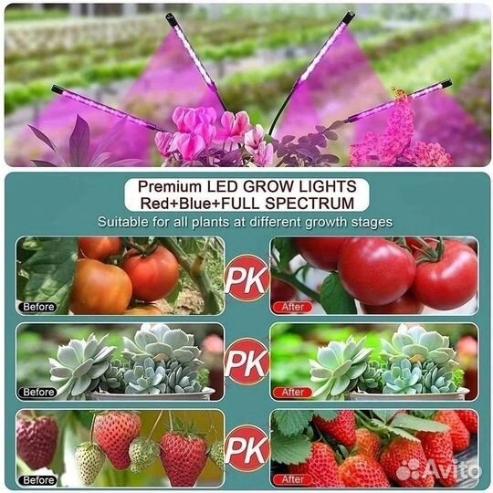 Фитолампа для растений