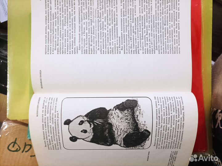 Красная книга. Природа