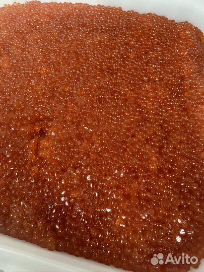 Икра красная горбуши