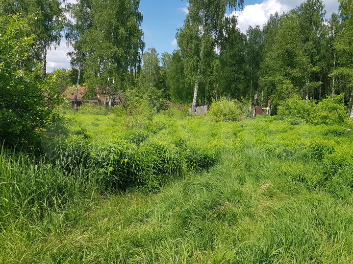 Участок 6 сот. (СНТ, ДНП)