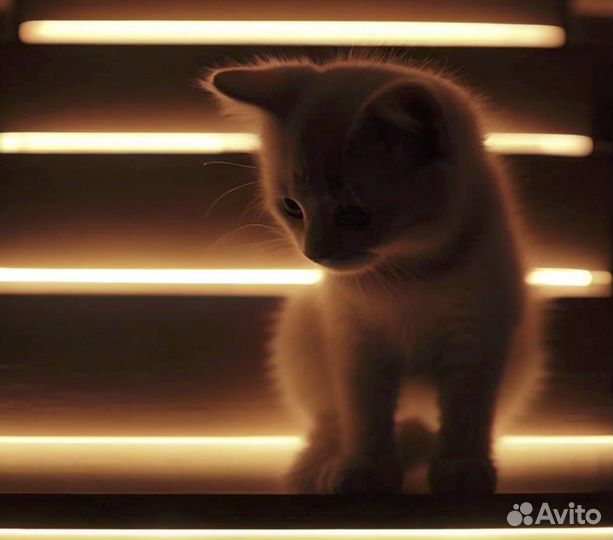 Подсветка лестницы с датчиками движения