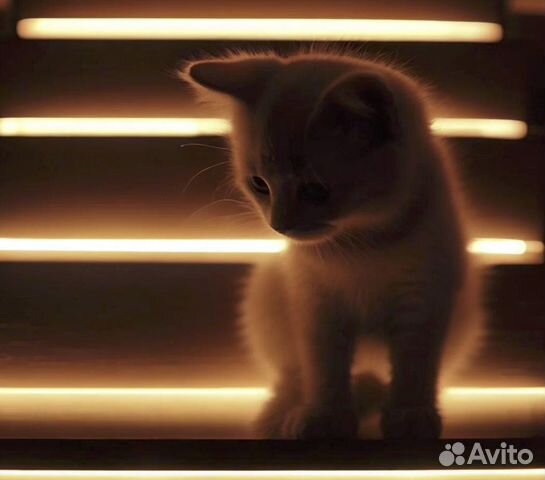 Подсветка лестницы с датчиками движения