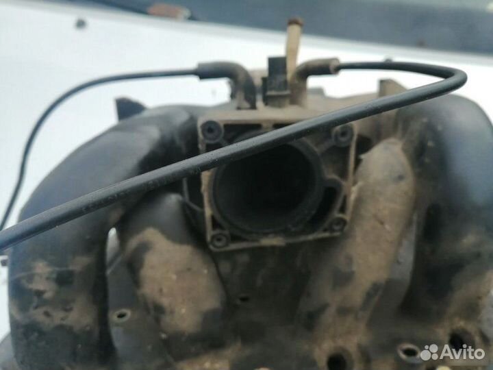 Впускной коллектор Ford Focus eydc