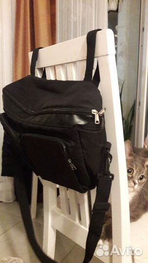 Сука на коляску