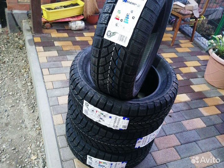 Windforce Snowblazer 205/55 R16 91H