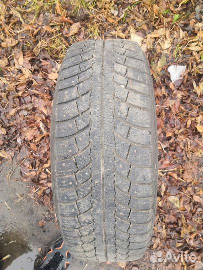 Gislaved Nord Frost 5 215/65 R16
