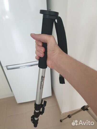 Монопод