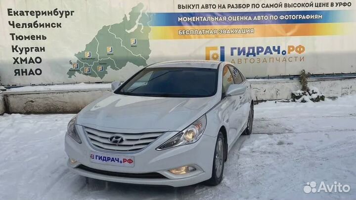 Проводка двери передняя левая Hyundai Sonata (YF)